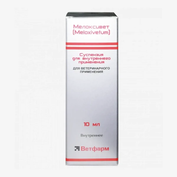 frame - 2026-02-16T113501.914.webp