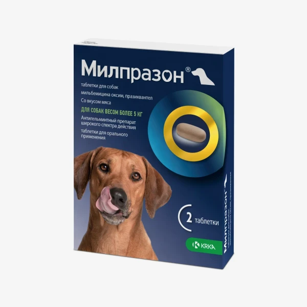 frame - 2026-02-16T142056.094.webp