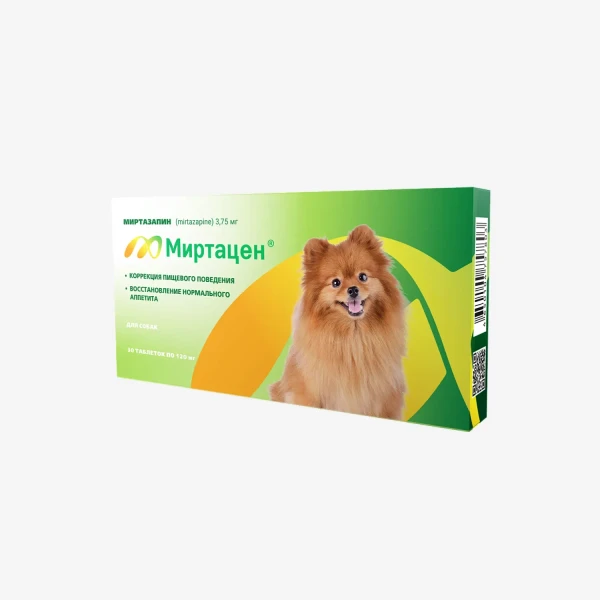 frame - 2026-02-16T150916.701.webp