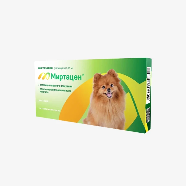 frame - 2026-02-16T151409.706.webp