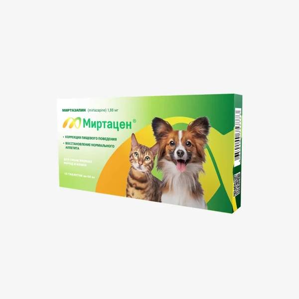 frame - 2026-02-16T151534.953.webp