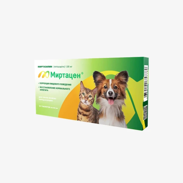 frame - 2026-02-16T151630.609.webp