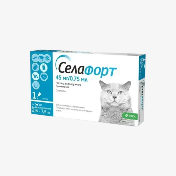 frame - 2026-02-16T152104.397.webp