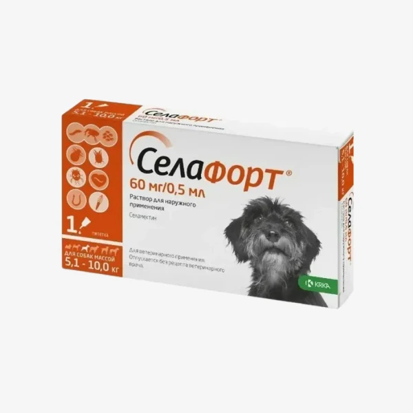 frame - 2026-02-16T154102.794.webp