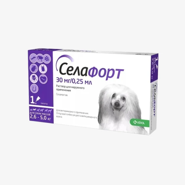 frame - 2026-02-16T154425.814.webp