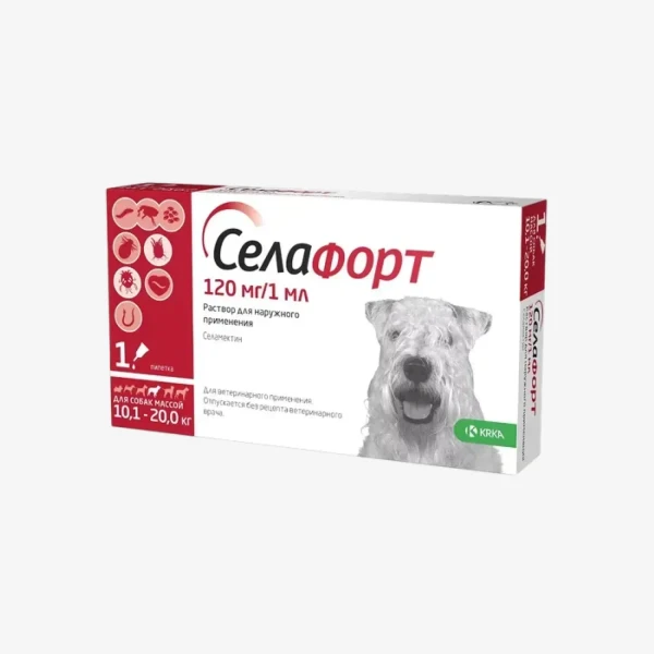 frame - 2026-02-16T155503.543.webp