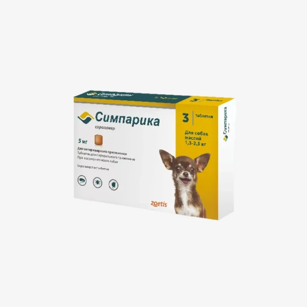 frame - 2026-02-17T183932.676.webp