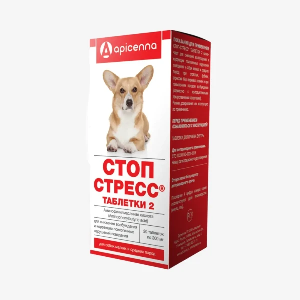 frame - 2026-02-17T212540.074.webp