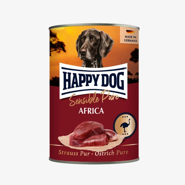 frame - 2026-02-18T120643.004.webp