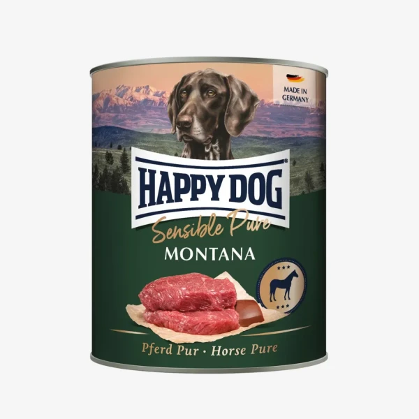 frame - 2026-02-18T122145.464.webp