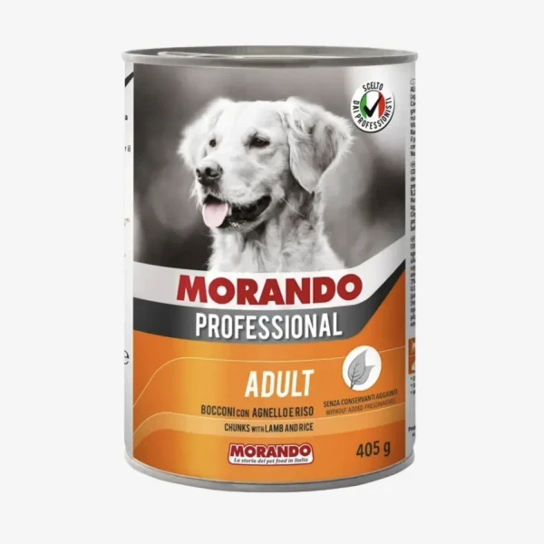 frame - 2026-02-25T214949.903.webp