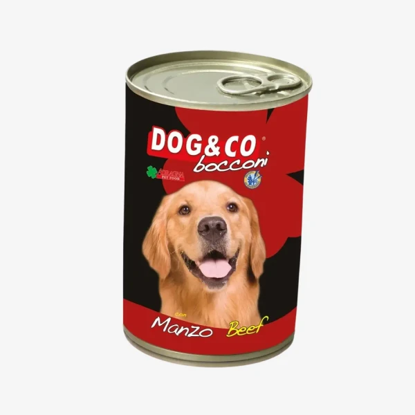 frame - 2026-02-25T220049.532.webp