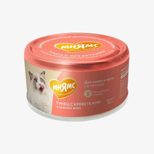 frame - 2026-02-26T115209.585.webp