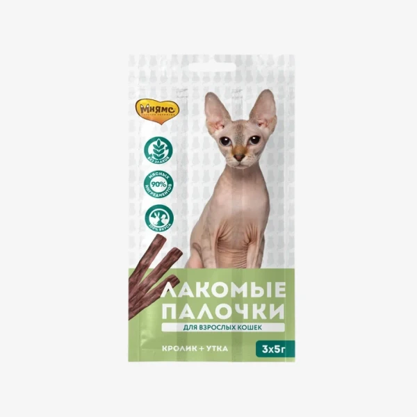 frame - 2026-02-26T123444.936.webp