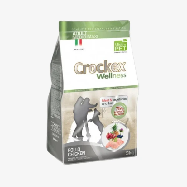 frame - 2026-04-10T093420.913.webp