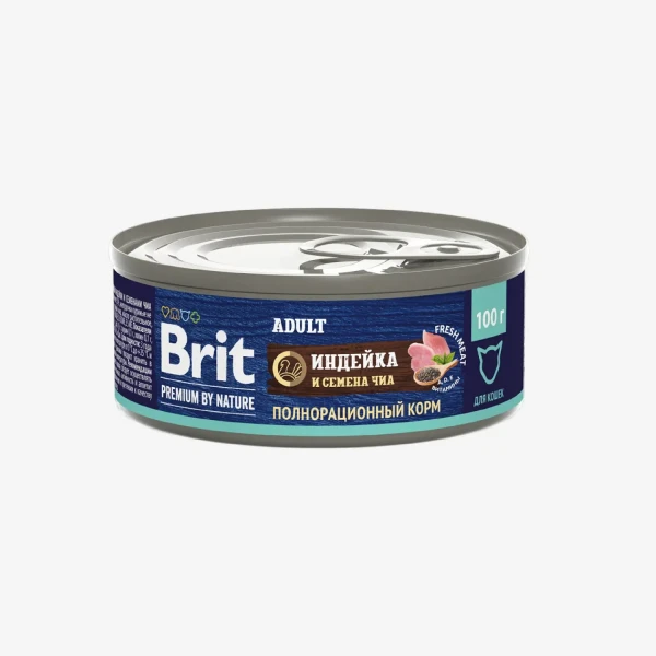 frame - 2026-04-10T101251.141.webp