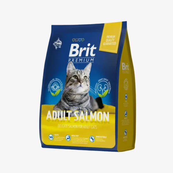 frame - 2026-04-10T113004.856.webp