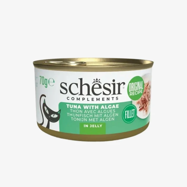 frame - 2026-04-13T181753.730.webp