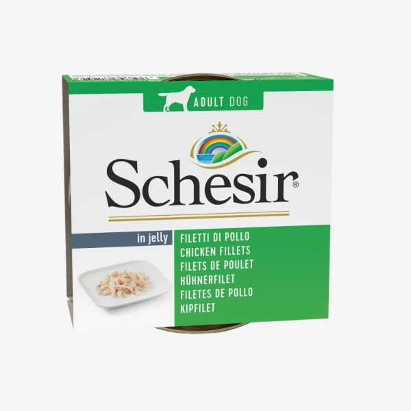 frame - 2026-04-14T100759.126.webp