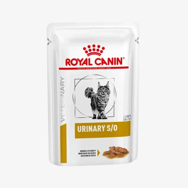 frame - 2026-04-16T115401.641.webp