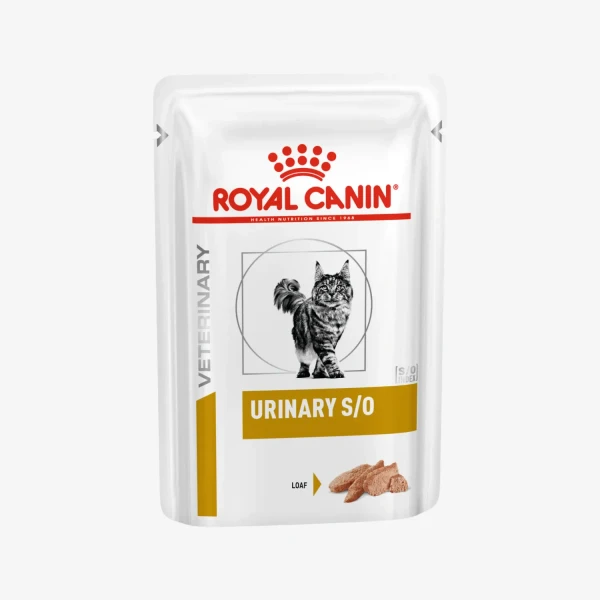 frame - 2026-04-16T123652.377.webp