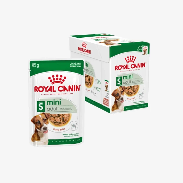 frame - 2026-04-21T155949.861.webp