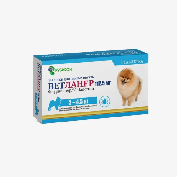 frame - 2026-04-22T110304.715.webp