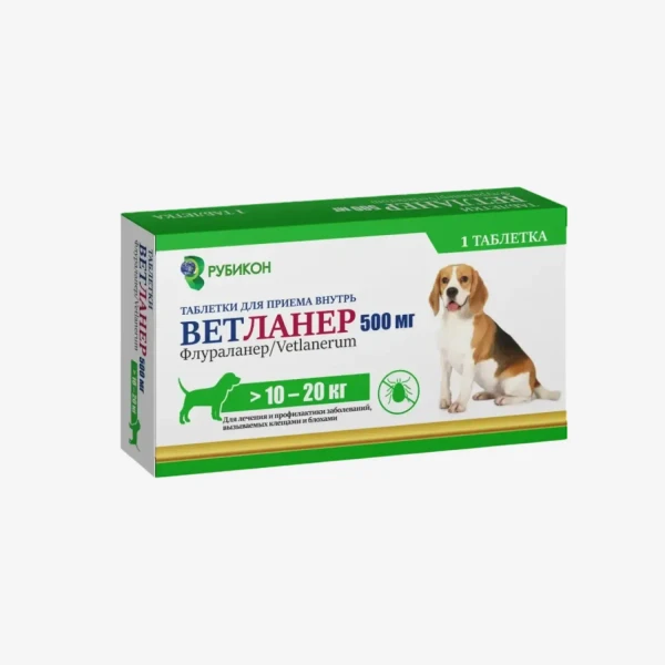 frame - 2026-04-22T110726.025.webp