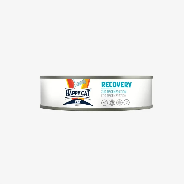 _monge_cat_bwild_grain_free_85_monge_cat_bwild_grain_free_85_ (14).webp