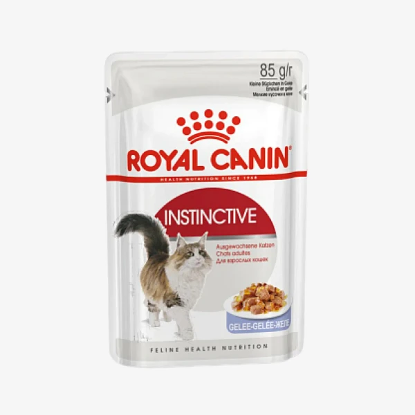 _monge_cat_bwild_grain_free_85_monge_cat_bwild_grain_free_85_ - 2026-04-29T141712.048.webp