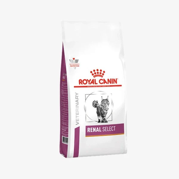 _monge_cat_bwild_grain_free_85_monge_cat_bwild_grain_free_85_ - 2026-05-01T112606.336.webp
