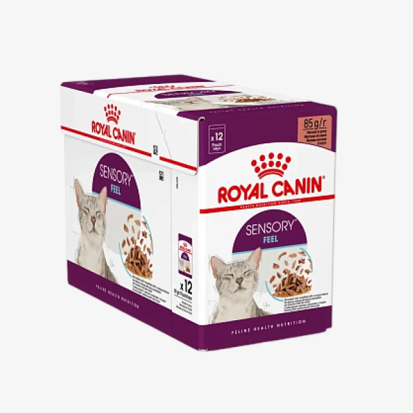 _monge_cat_bwild_grain_free_85_monge_cat_bwild_grain_free_85_ - 2026-05-04T114203.932.webp