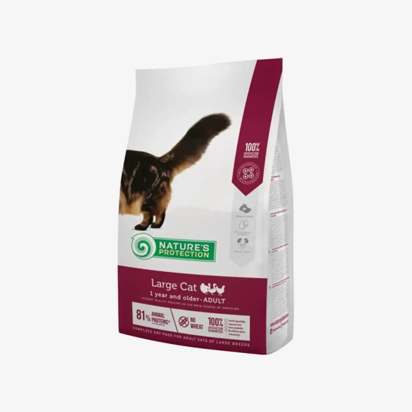 _monge_cat_bwild_grain_free_85_monge_cat_bwild_grain_free_85_ (3).webp