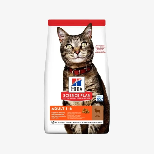 _monge_cat_bwild_grain_free_85_monge_cat_bwild_grain_free_85_ (63).webp