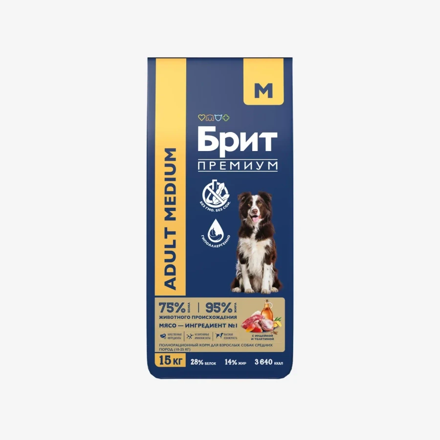 catalogue_background (100).webp