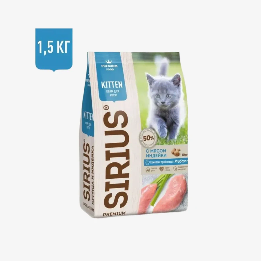 catalogue_background (18).webp