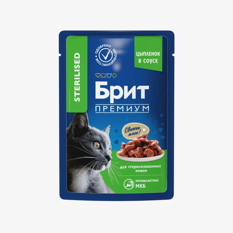 catalogue_background - 2026-01-12T120604.450.webp