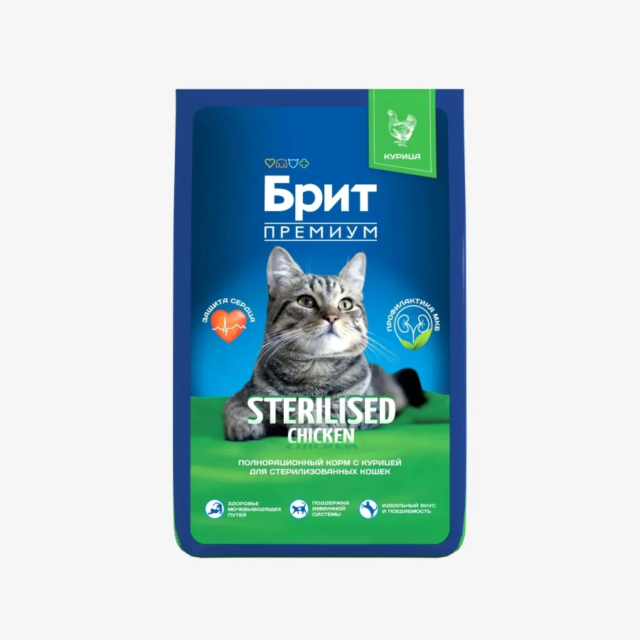 catalogue_background - 2026-01-12T122744.519.webp