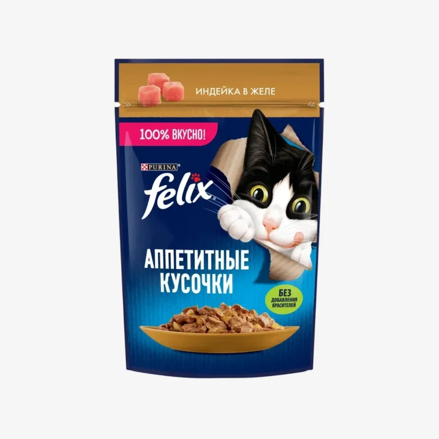 catalogue_background - 2026-01-12T202052.073.webp