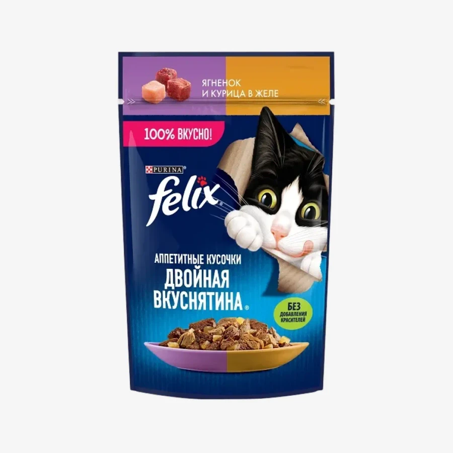 catalogue_background - 2026-01-12T212133.143.webp