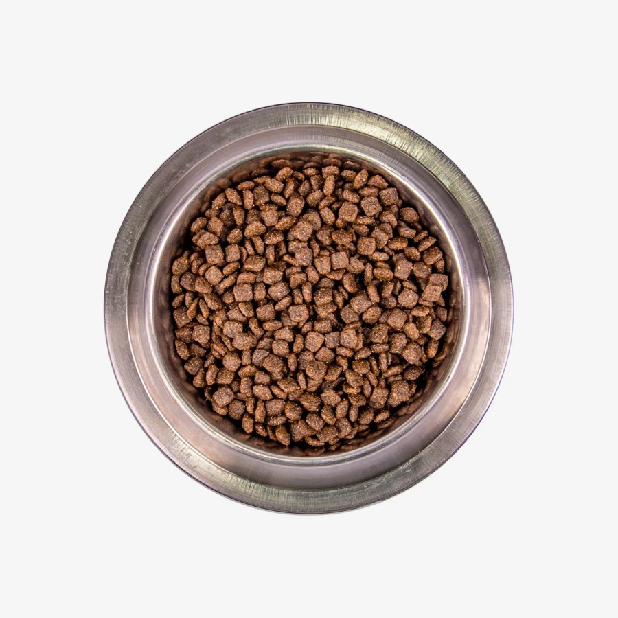 catalogue_background - 2026-01-14T123931.168.webp