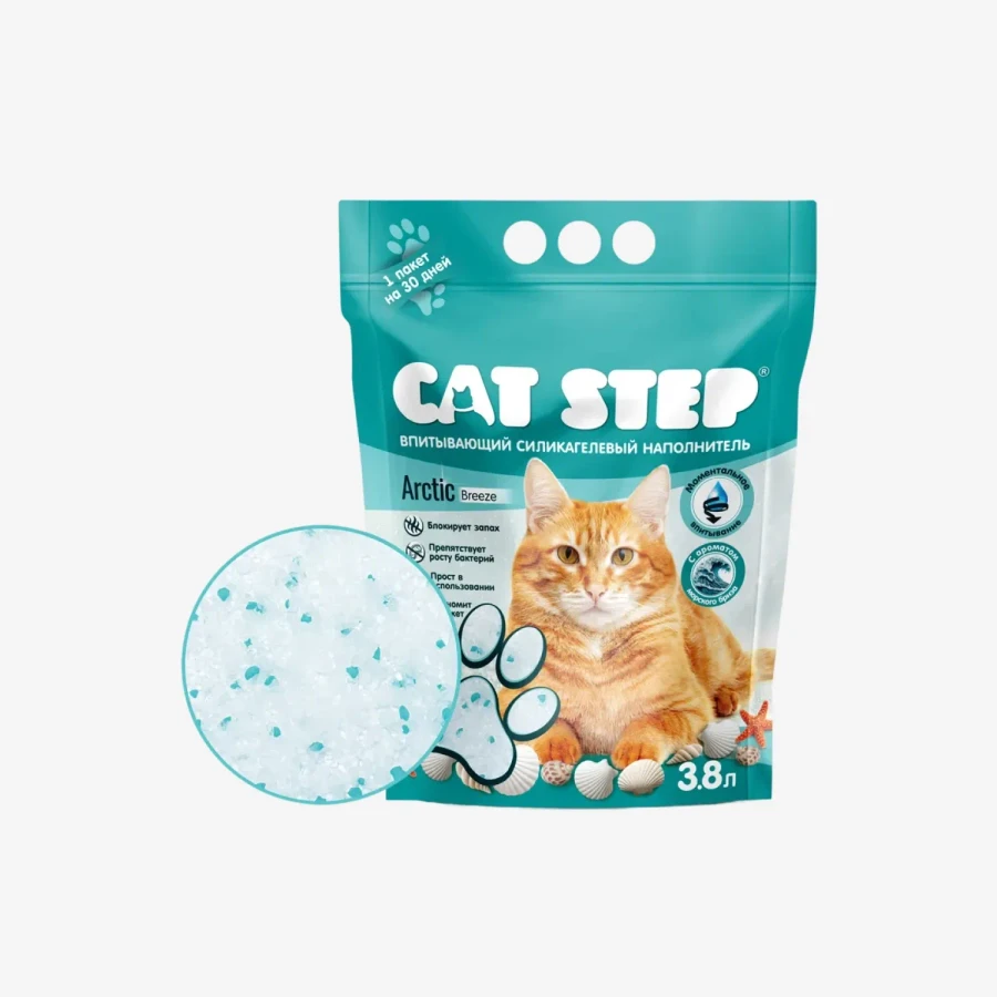 catalogue_background - 2026-01-15T195920.196.webp