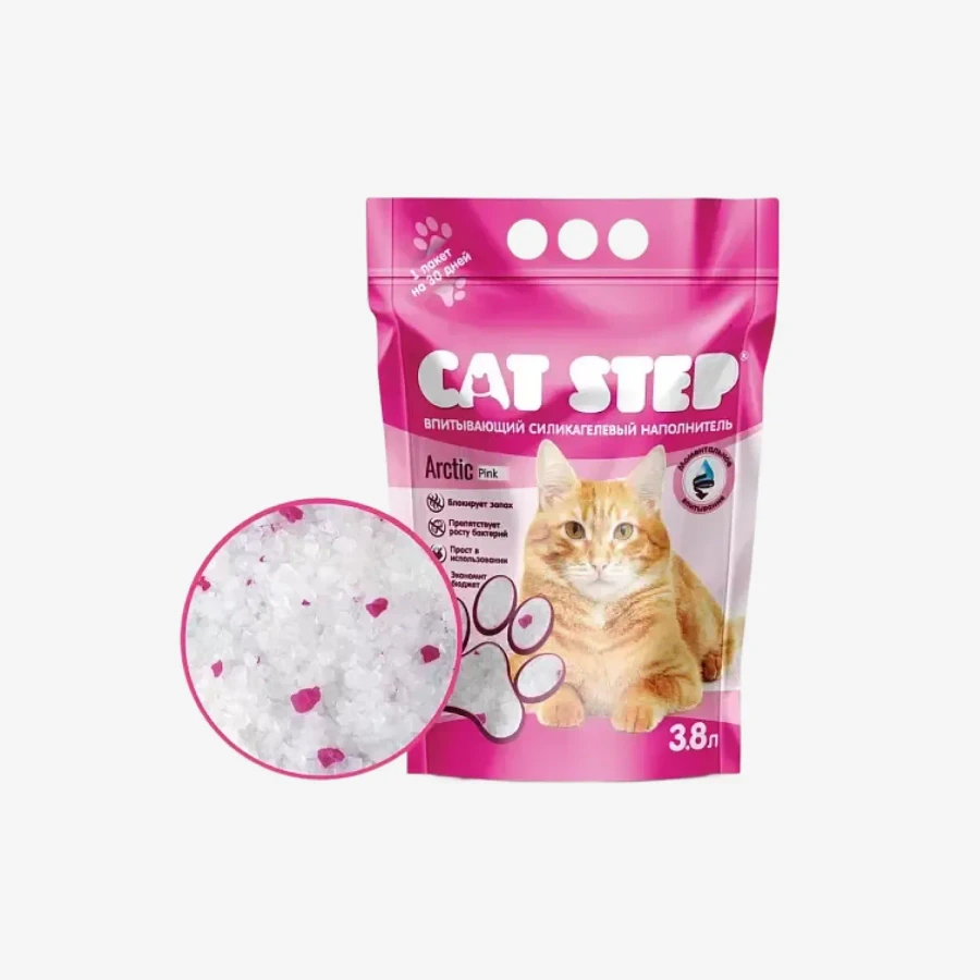 catalogue_background - 2026-01-15T201851.802.webp