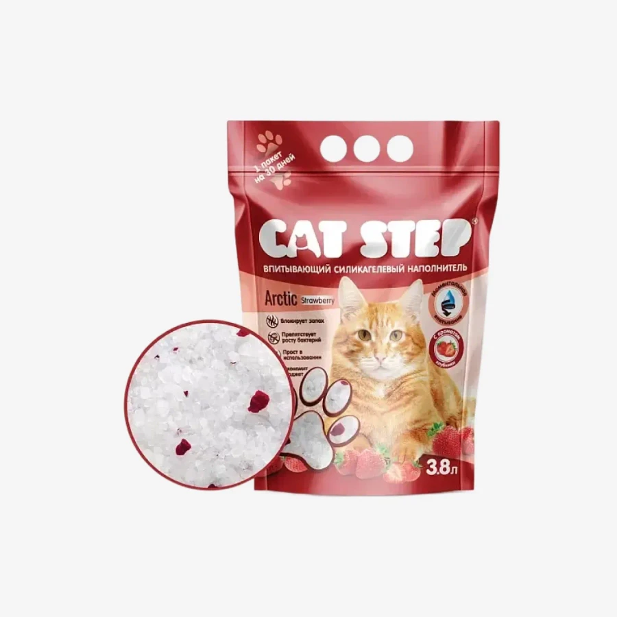 catalogue_background - 2026-01-15T221738.465.webp