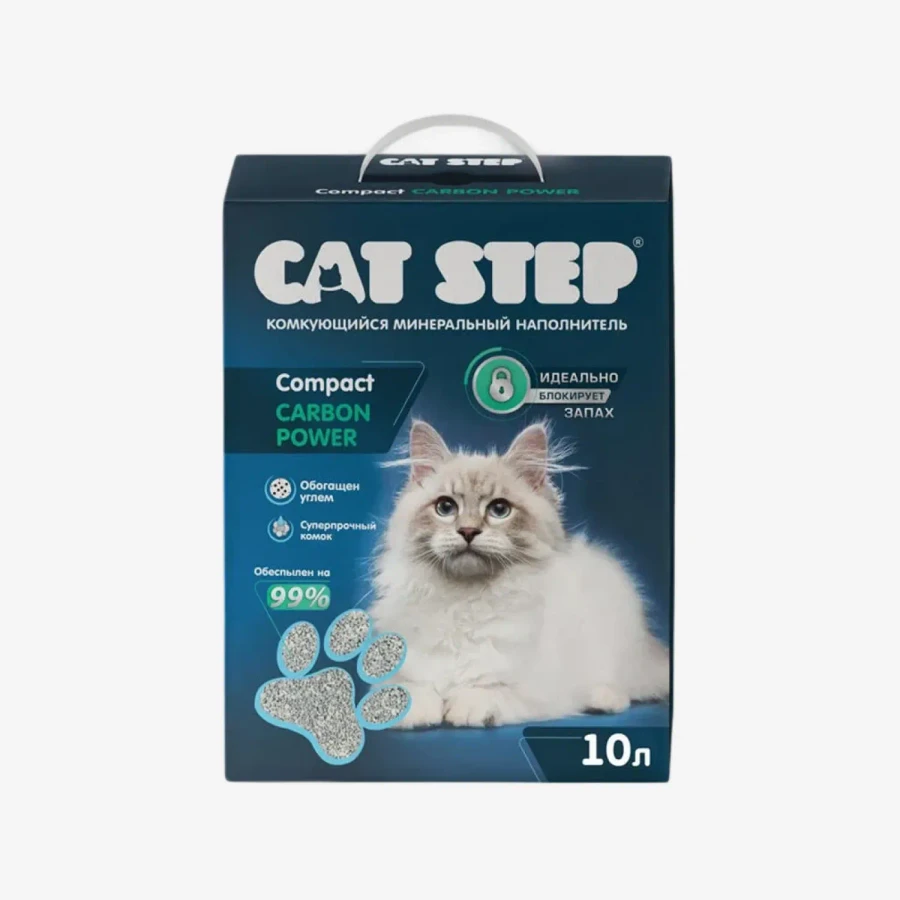 catalogue_background - 2026-01-15T233203.684.webp