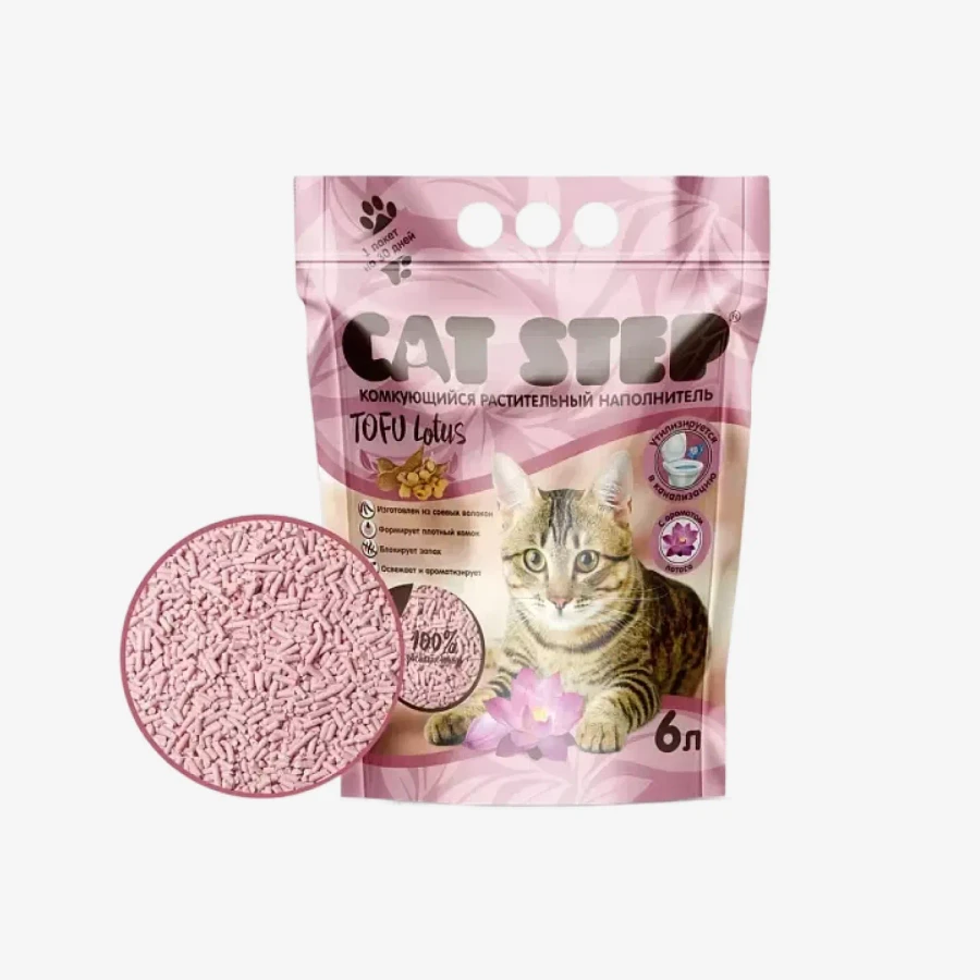 catalogue_background - 2026-01-16T131831.659.webp