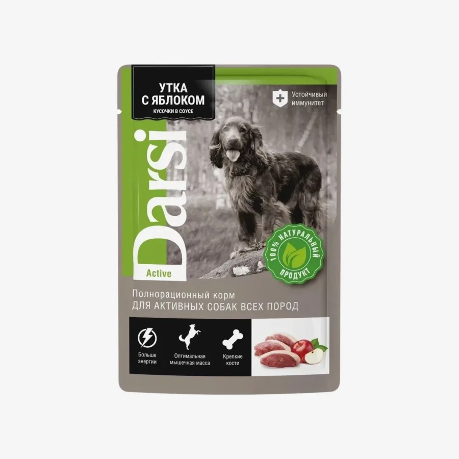 catalogue_background - 2026-01-16T224252.799.webp