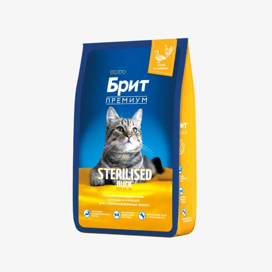 catalogue_background - 2026-01-20T112325.592.webp