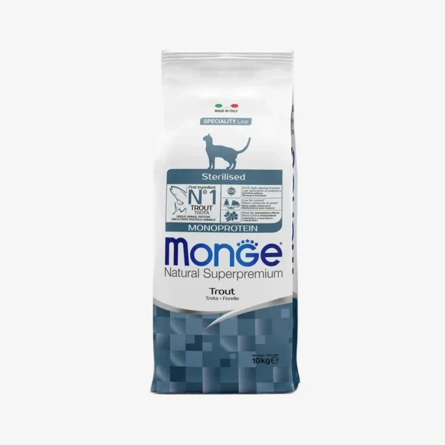 catalogue_background - 2026-01-20T143724.971.webp