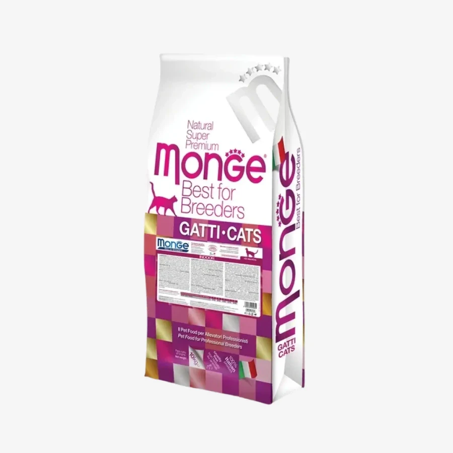 catalogue_background - 2026-01-20T152356.935.webp